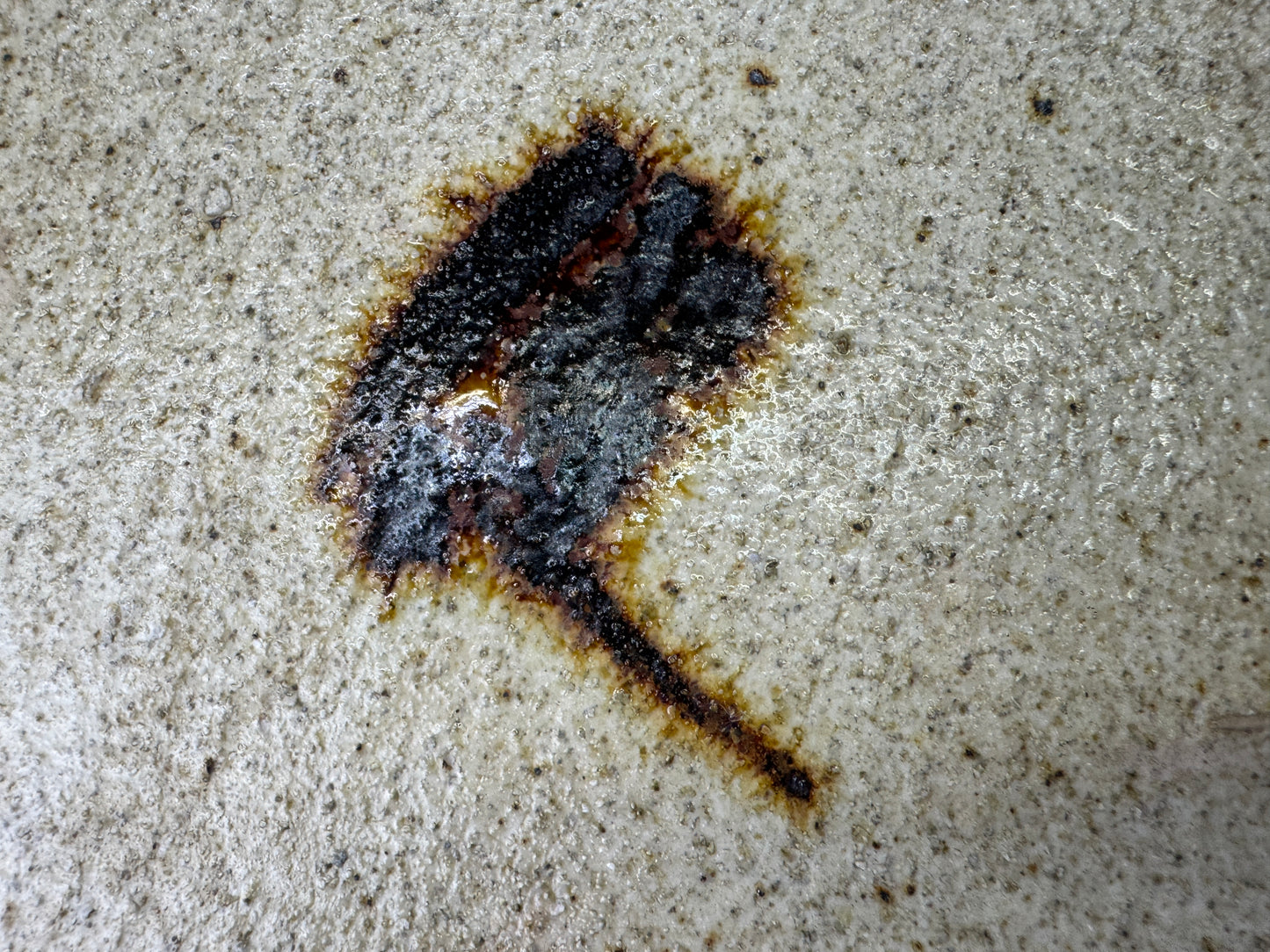 Y9695 DISH Tokoname-ware Frog plate signed Japan antique tableware kitchen food