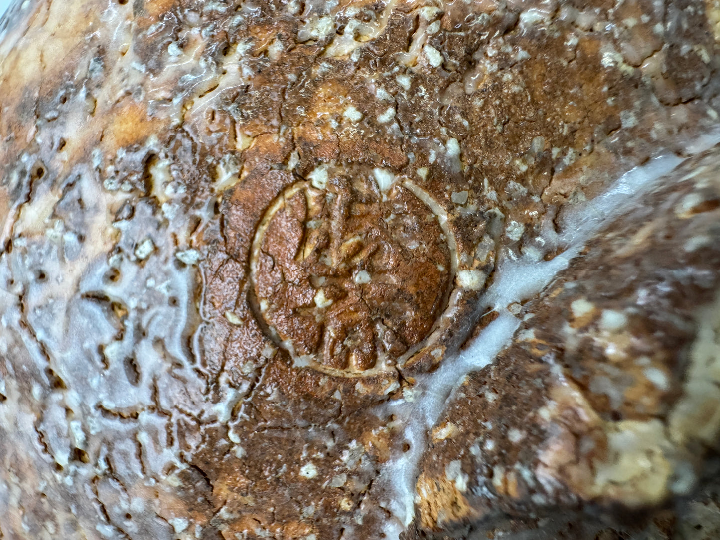 Y9704 CHAWAN Hagi-ware bowl signed box Japan antique tea ceremony pottery cup