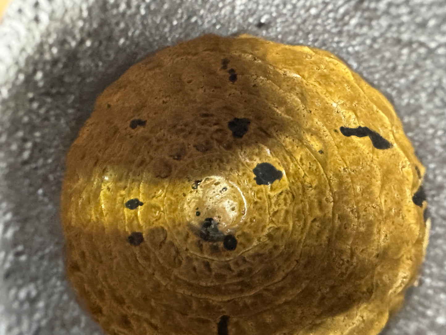 Y9722 FLOWER VASE Seto-ware signed box Japan antique ikebana floral arrangement