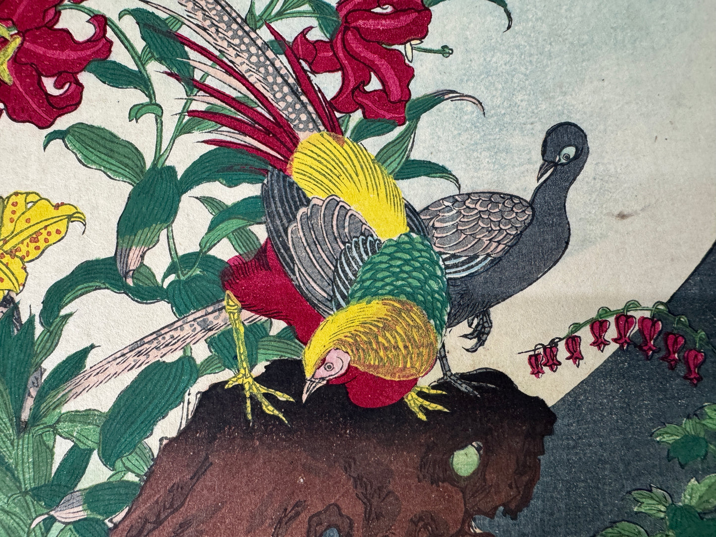 Y9751 WOODBLOCK PRINT Rinsai Lily Golden Pheasant 1 piece Japan Ukiyoe antique