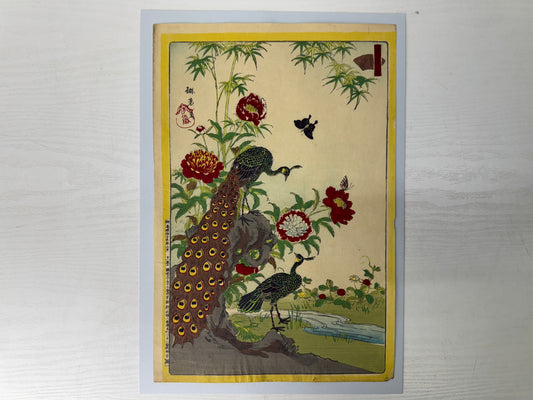 Y9752 WOODBLOCK PRINT Rinsai Peony Peacock 1 piece Japan Ukiyoe antique art