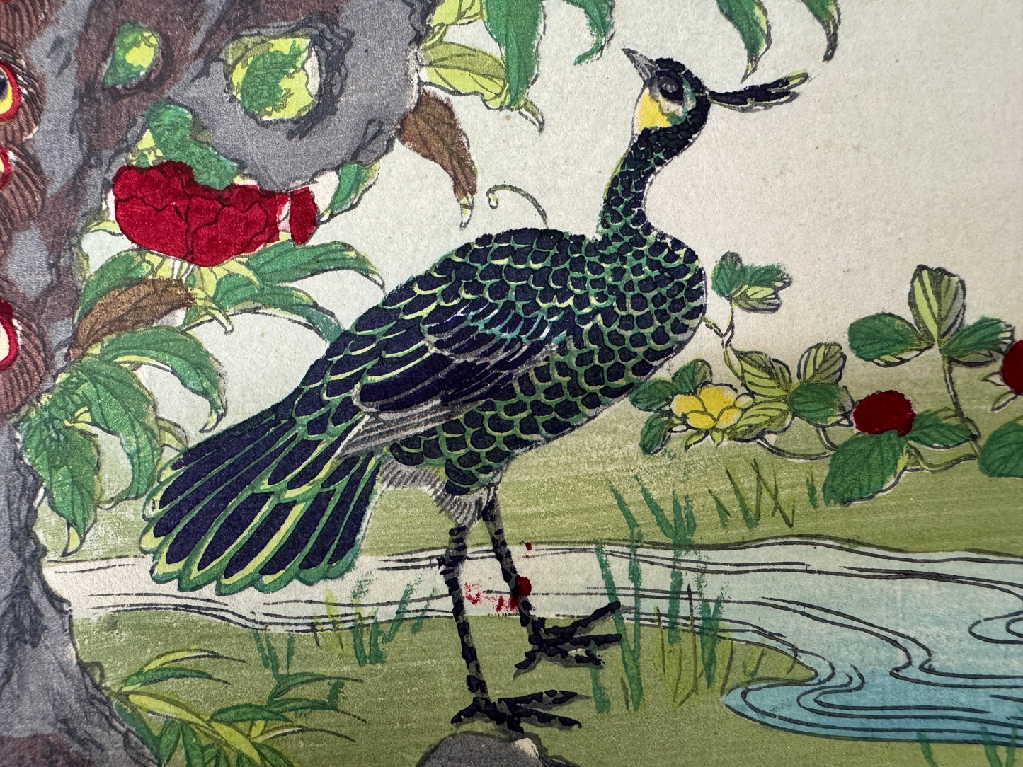 Y9752 WOODBLOCK PRINT Rinsai Peony Peacock 1 piece Japan Ukiyoe antique art
