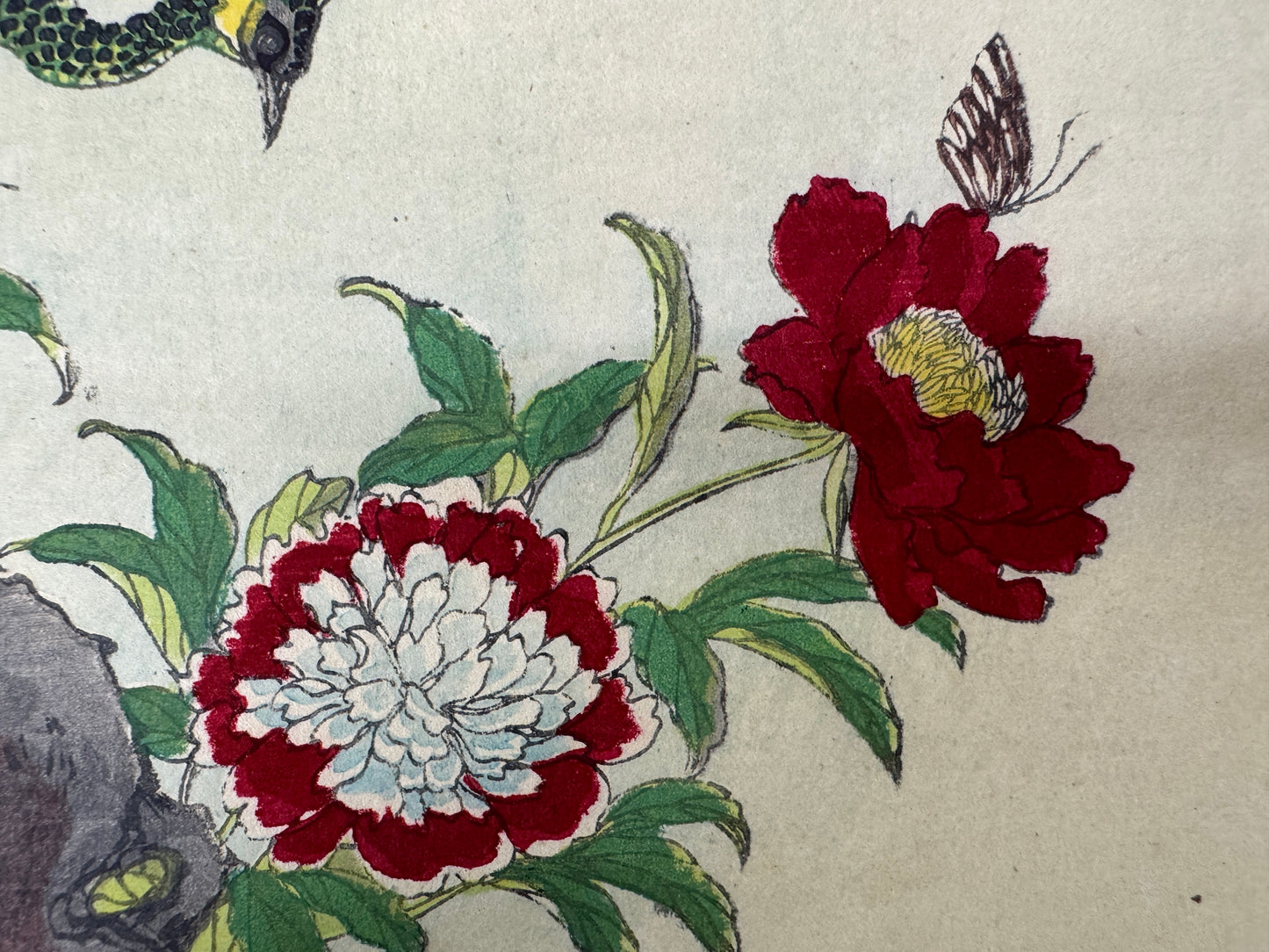 Y9752 WOODBLOCK PRINT Rinsai Peony Peacock 1 piece Japan Ukiyoe antique art