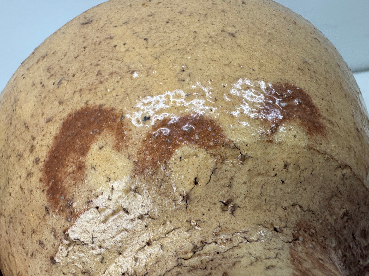 Y9904 CHAWAN Hagi-ware Ido bowl signed box Japan antique tea ceremony pottery