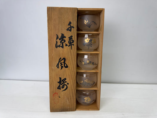 Y9932 YUNOMI glass teacup set of 5 box Japan antique sencha tea cup tableware