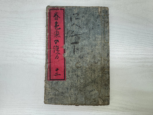 Y9955 WOODBLOCK PRINT Japanese book Yoshiiku Edo era Japan antique publication