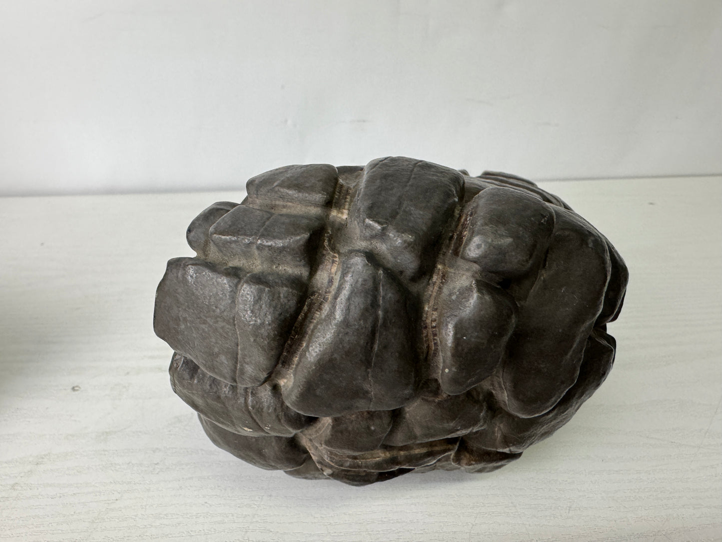 Y9989 OKIMONO Septarium wooden stand Suiseki viewing stone Japan antique decor