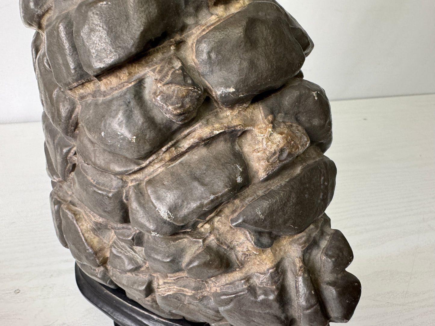 Y9989 OKIMONO Septarium wooden stand Suiseki viewing stone Japan antique decor