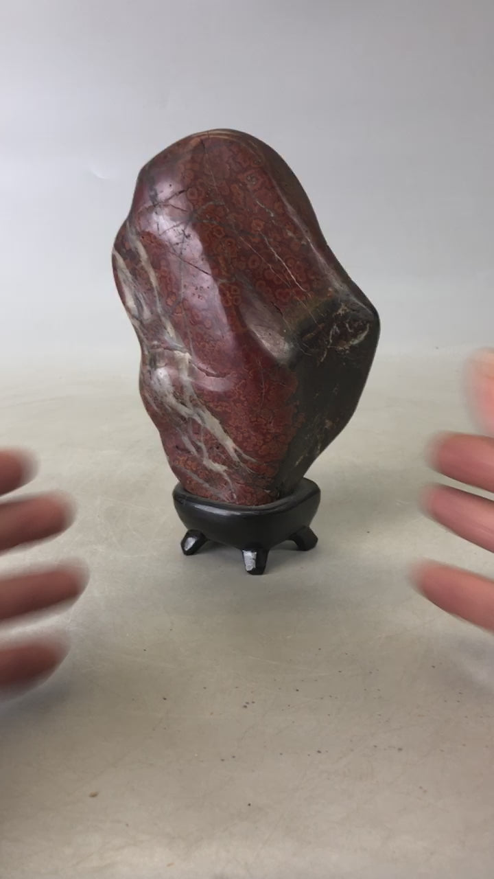 Y6778 [VIDEO] OKIMONO Suiseki viewing stone sooden stand Japan