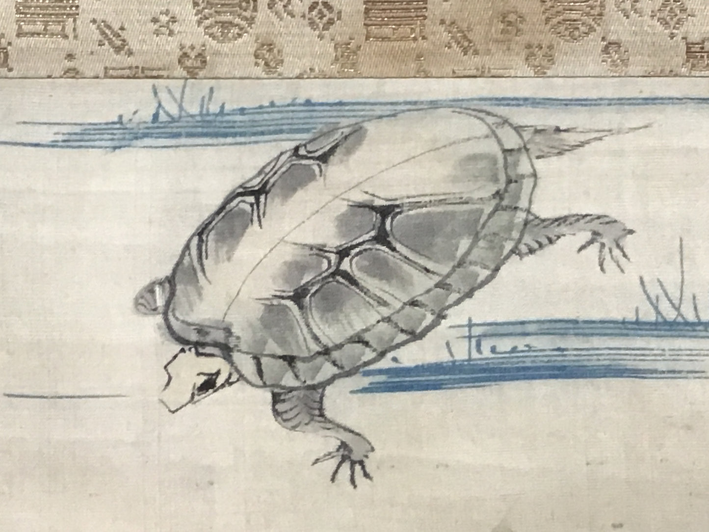 Y2117 KAKEJIKU Turtle tortoise signed 103x44cm Japanese hanging scroll interior