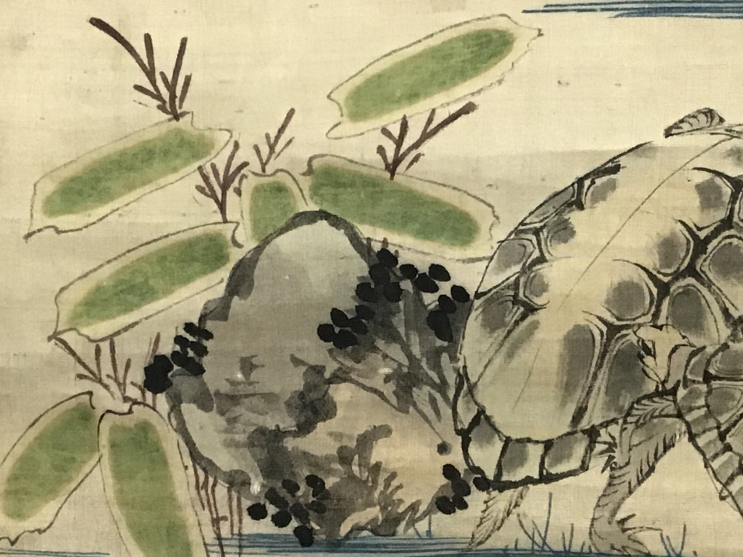 Y2117 KAKEJIKU Turtle tortoise signed 103x44cm Japanese hanging scroll interior