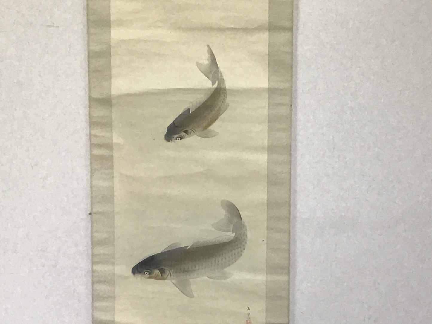 Y2177 KAKEJIKU Koi fish signed 186x51cm Japanese hanging scroll interior