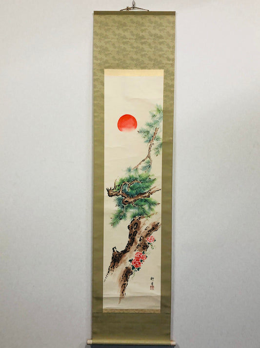 Y2888 KAKEJIKU Sunrise Pine signed box Japan hanging scroll decor interior