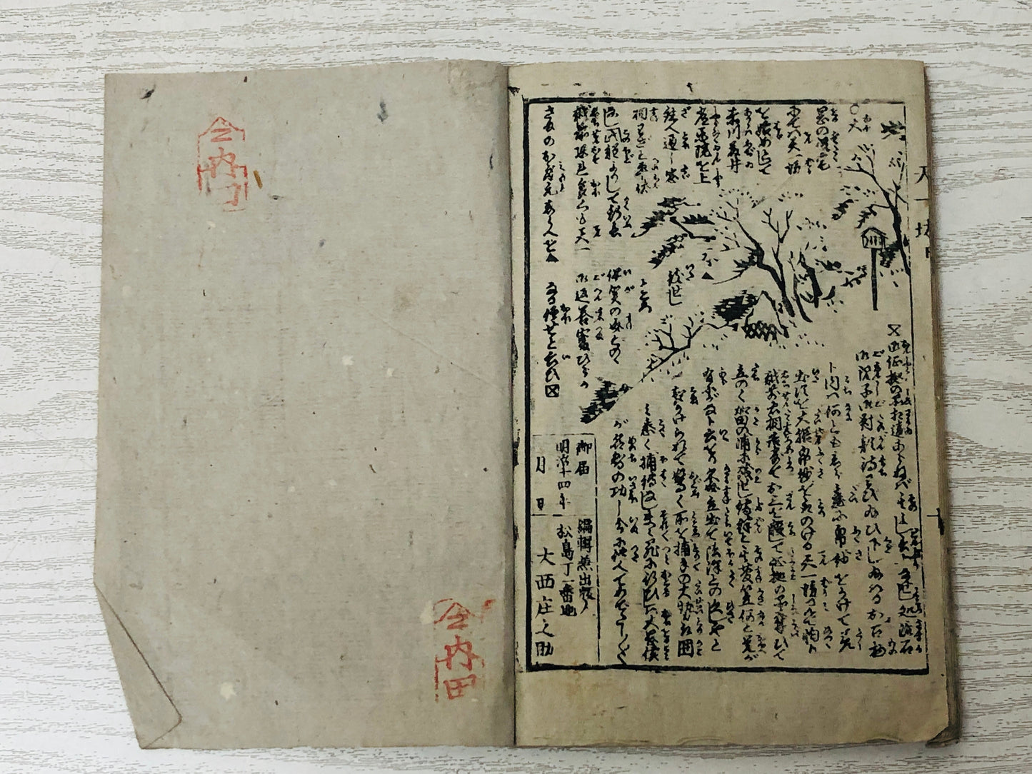 Y3041 WOODBLOCK PRINT Tenichibo story Book 1 Book 2 set Japan Ukiyoe antique