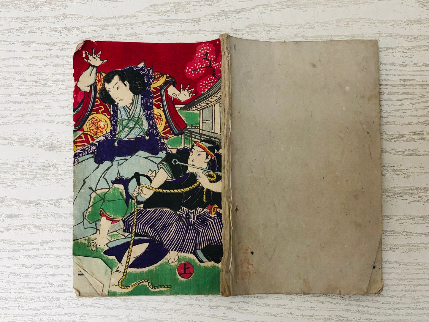 Y3041 WOODBLOCK PRINT Tenichibo story Book 1 Book 2 set Japan Ukiyoe antique