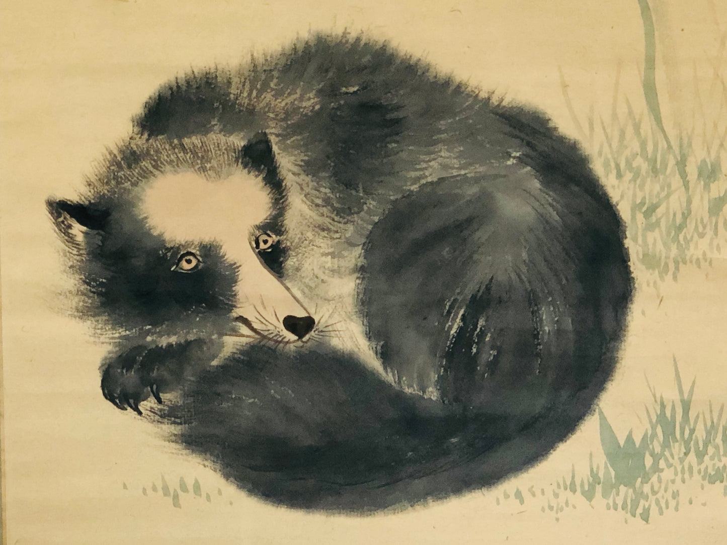 Y3193 KAKEJIKU Raccoon Dog badger signed Japan hanging scroll wall decor antique
