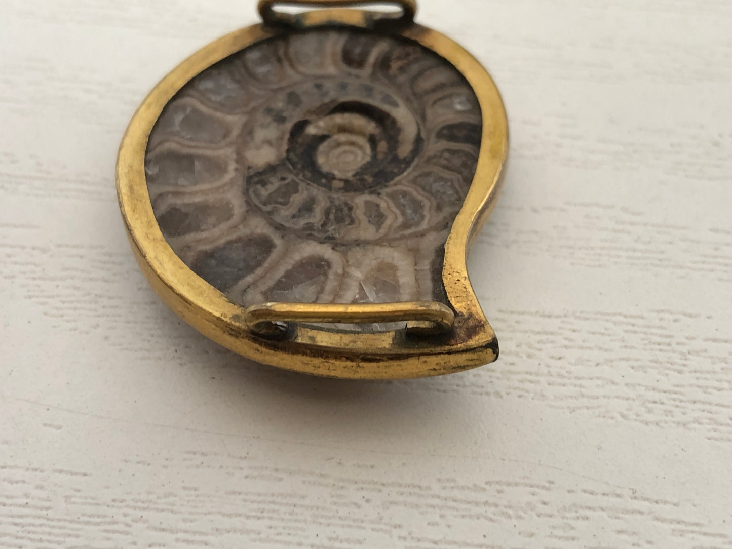 Y4121 OBIDOME Sash Clip brooch Ammonite Japan kimono accessory antique vintage
