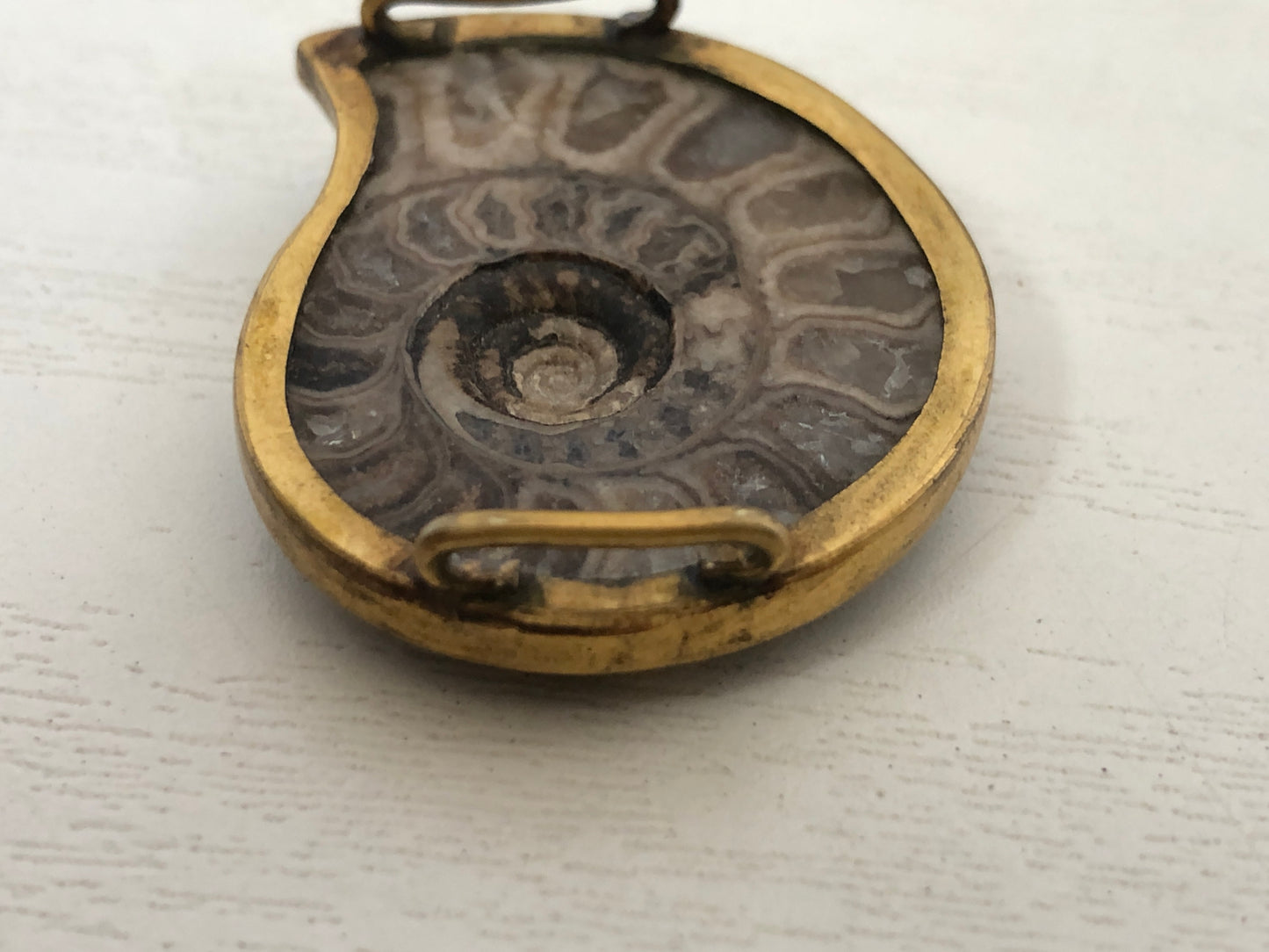 Y4121 OBIDOME Sash Clip brooch Ammonite Japan kimono accessory antique vintage