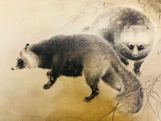 Y4511 KAKEJIKU Raccoon Dog Moon signed Japan hanging scroll wall decor interior