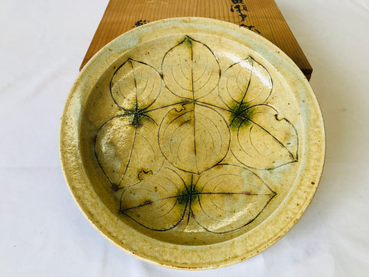 Y4813 CHAWAN Seto-ware yellow signed box Japan antique tableware bowl vintage