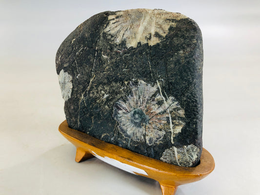 Y5719 OKIMONO Chrysanthemum stone wooden stand Japan antique interior home decor