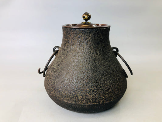 Y5968 CHAGAMA Iron kettle teapot crane-necked pot Japan Tea Ceremony antique