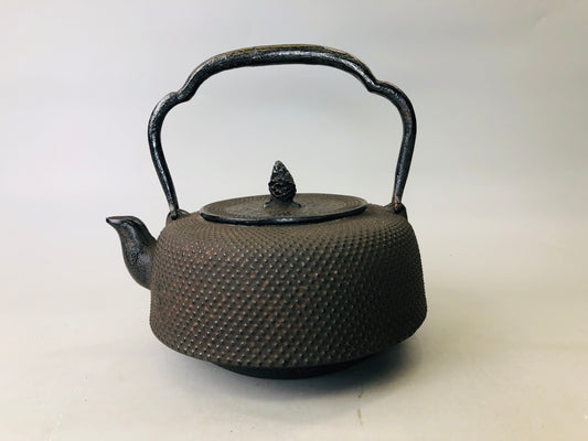 Y6200 [VIDEO] TETSUBIN Iron kettle Nambu Nanbu ironware teapot pot signed Japan antique