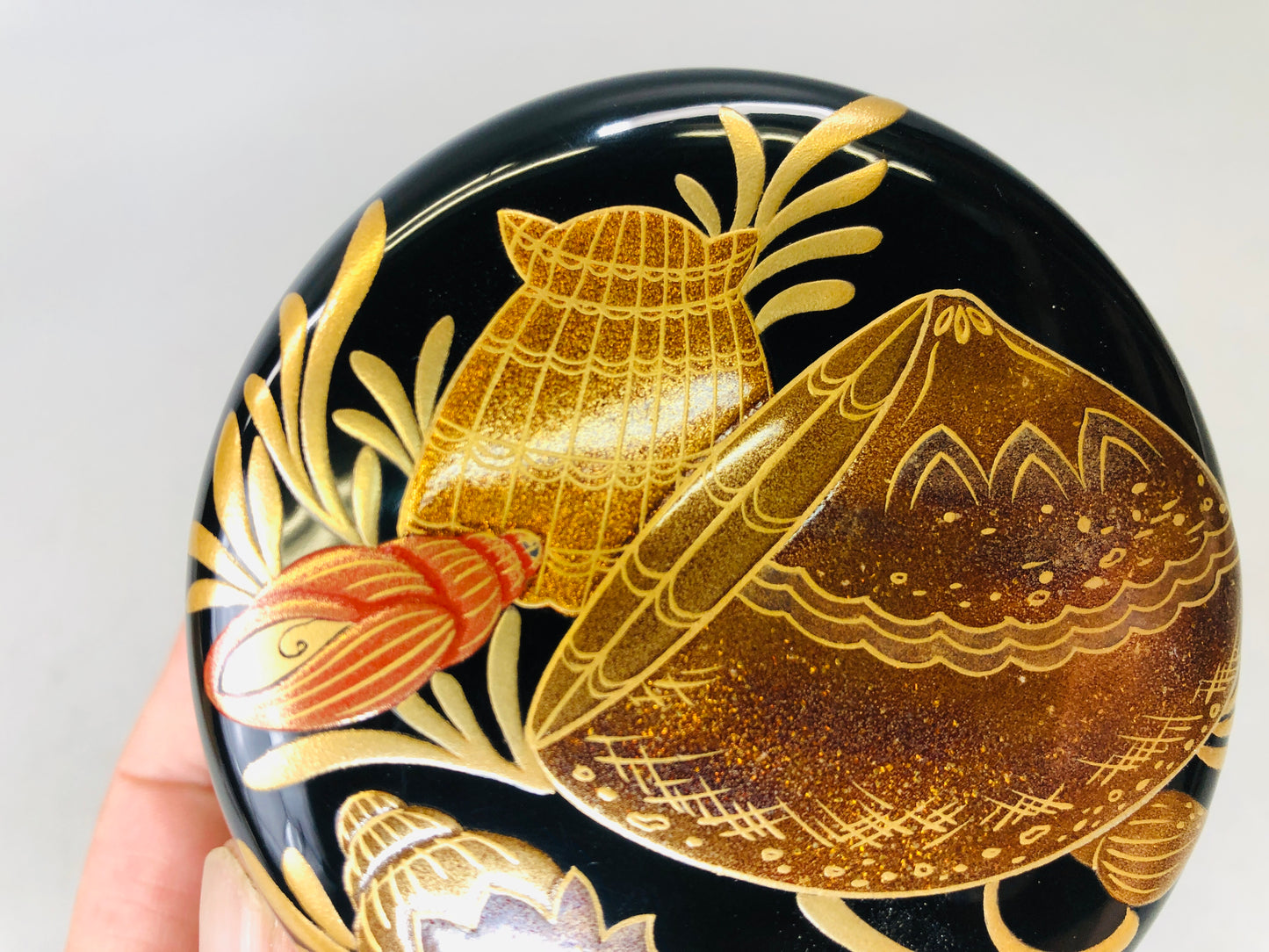 Y6214 [VIDEO] NATUME Makie Caddy container shell box Japan Tea Ceremony utensil antique