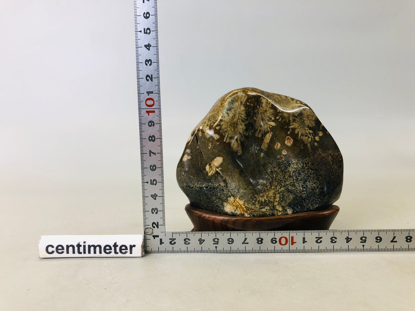 Y6271 [VIDEO] OKIMONO Chrysanthemum viewing stone wooden stand Japan antique interior