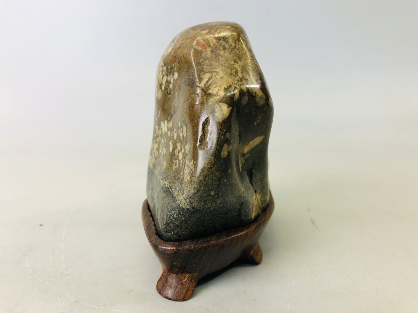 Y6271 [VIDEO] OKIMONO Chrysanthemum viewing stone wooden stand Japan antique interior