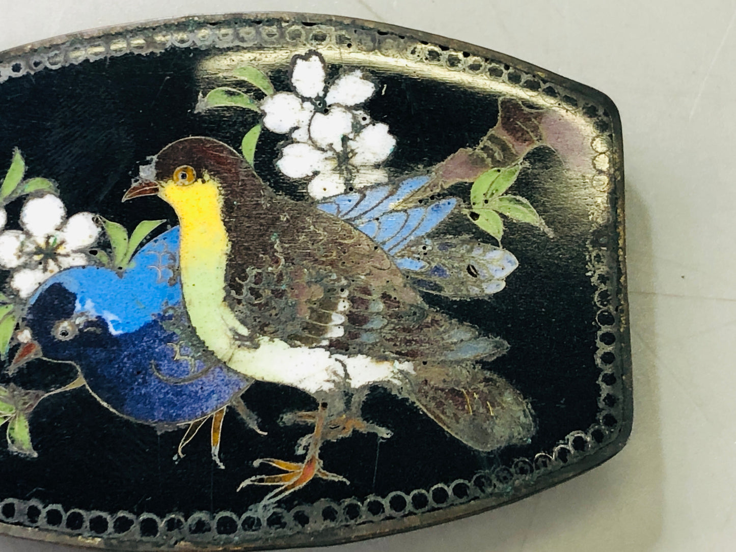 Y6339 [VIDEO] BELT BUCKLE Cloisonne Flower Bird Japan antique fashiion accessory