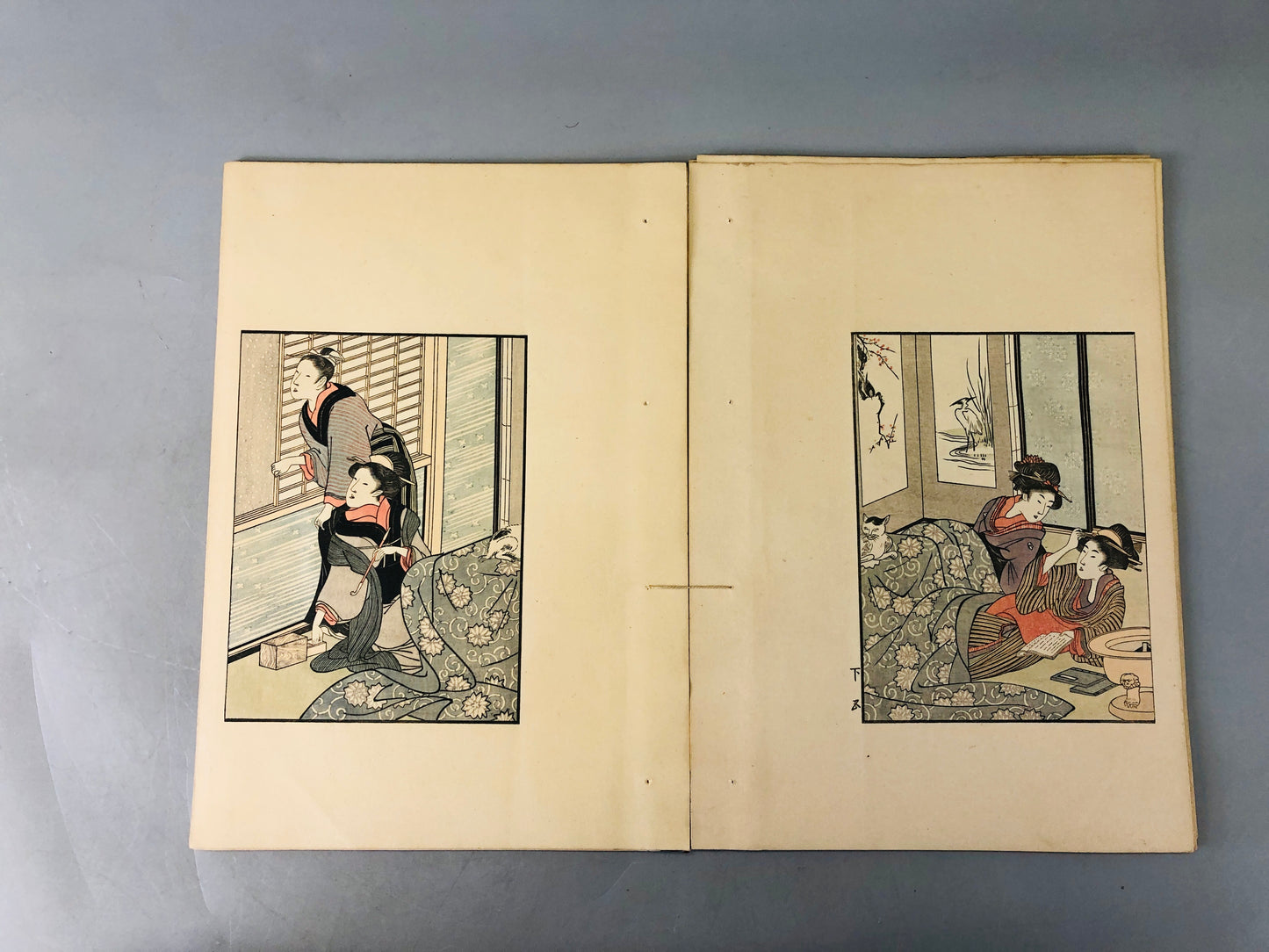 Y6456 [VIDEO] WOODBLOCK PRINT Book Flowers of the 4 seasons 2volumes Japan antique