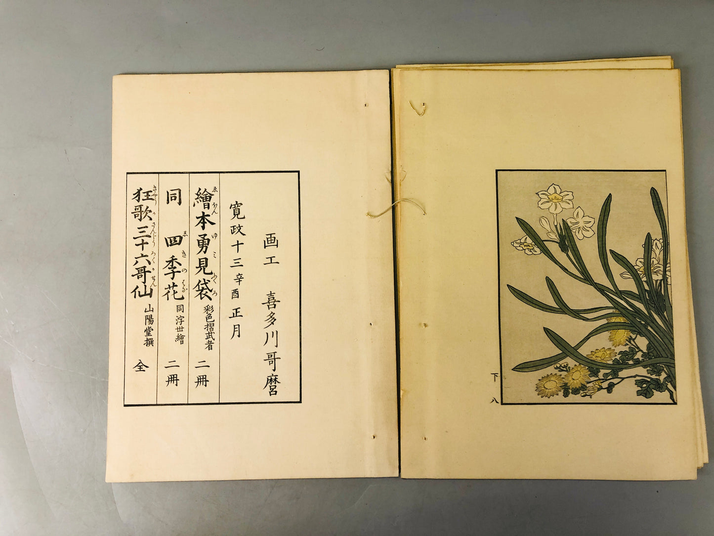 Y6456 [VIDEO] WOODBLOCK PRINT Book Flowers of the 4 seasons 2volumes Japan antique