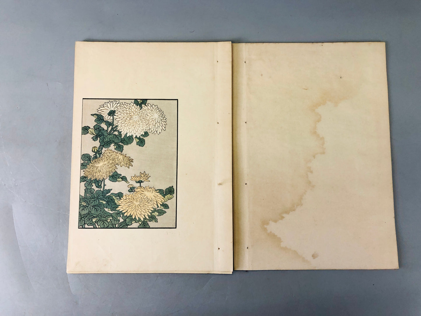 Y6456 [VIDEO] WOODBLOCK PRINT Book Flowers of the 4 seasons 2volumes Japan antique