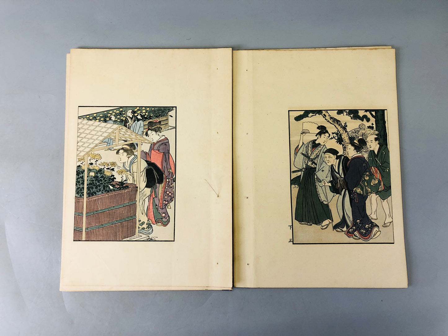 Y6456 [VIDEO] WOODBLOCK PRINT Book Flowers of the 4 seasons 2volumes Japan antique