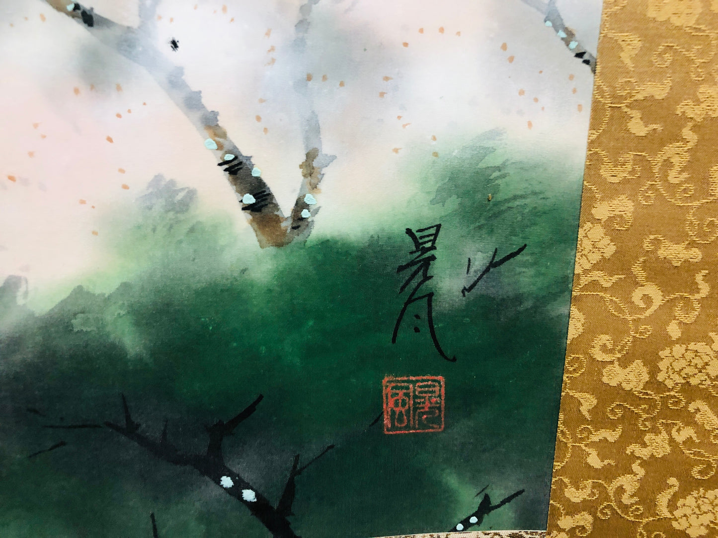 Y6469 [VIDEO] KAKEJIKU Landscaple Spring signed box Japan antique hanging scroll decor