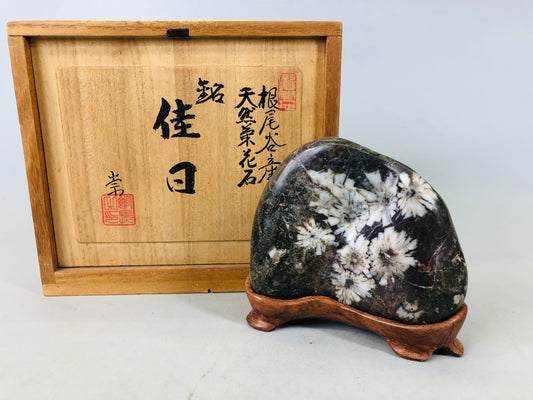 Y6484 「VIDEO] OKIMONO Chrysanthemum stone box Japan antique interior decor figure rock