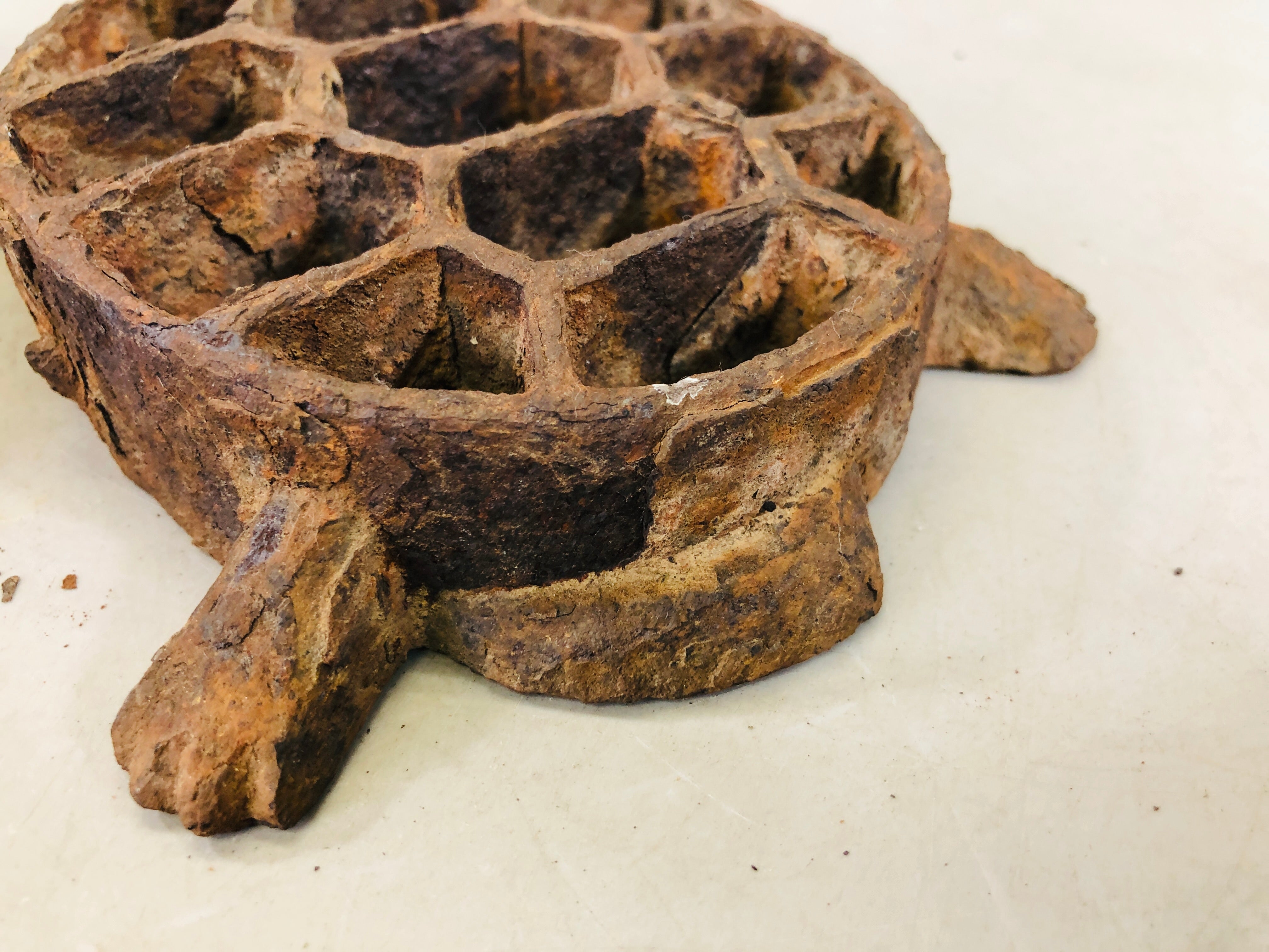 Y6555 [VIDEO] KENZAN Iron Turtle floral frog flower Japan antique