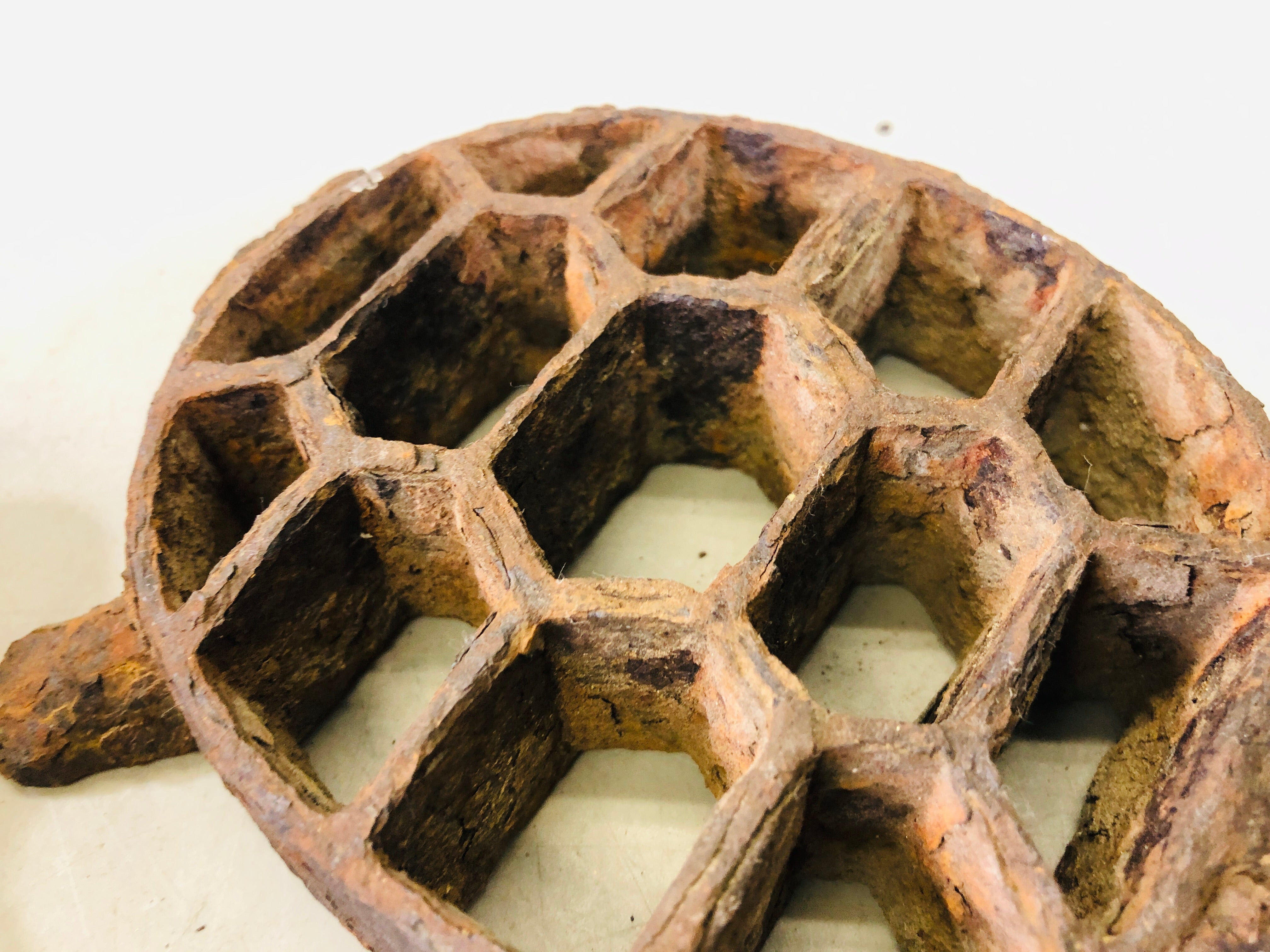 Y6555 [VIDEO] KENZAN Iron Turtle floral frog flower Japan antique