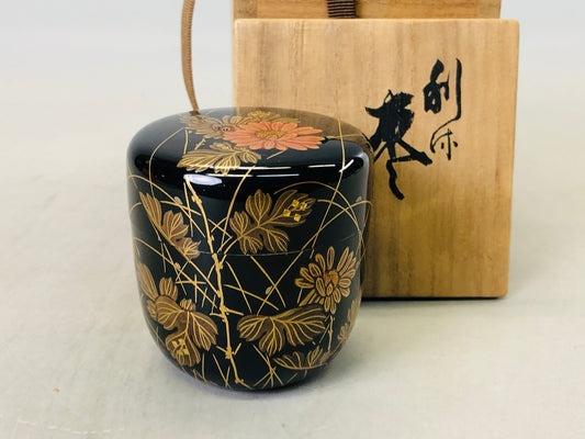 Y6630 [VIDEO] NATUME Makie Caddy container signed box Japan Tea Ceremony utensil antique