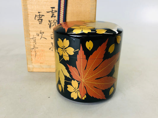 Y6737 [VIDEO] NATUME Makie Caddy container signed box Japan Tea Ceremony antique case