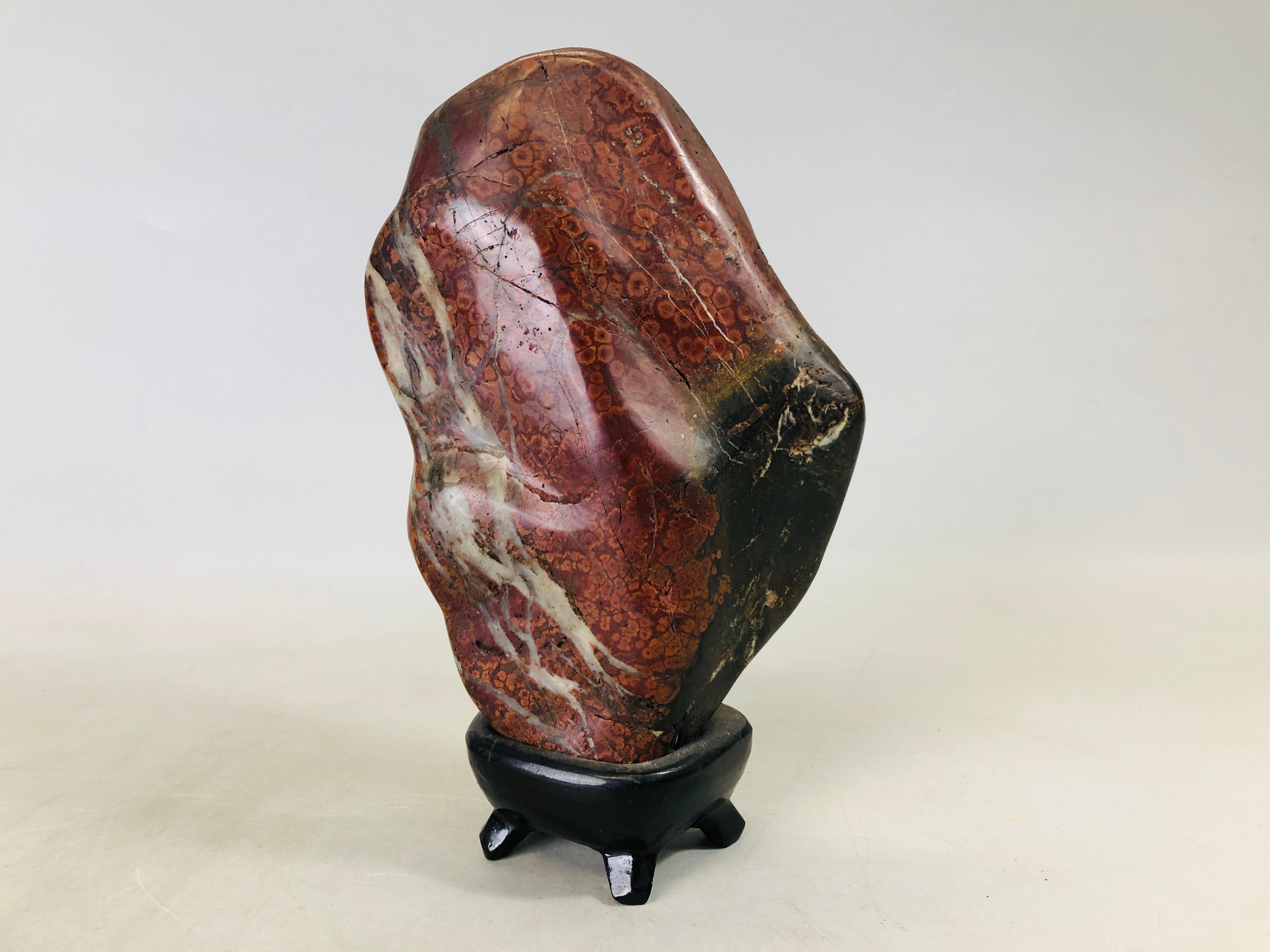 Y6778_20_1.jpg?v=1703714726