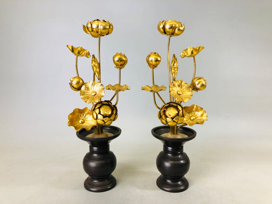 Y6816 [VIDEO] Buddhist Altar Equipment  gold Everlasting flowers vase pair Japan antique