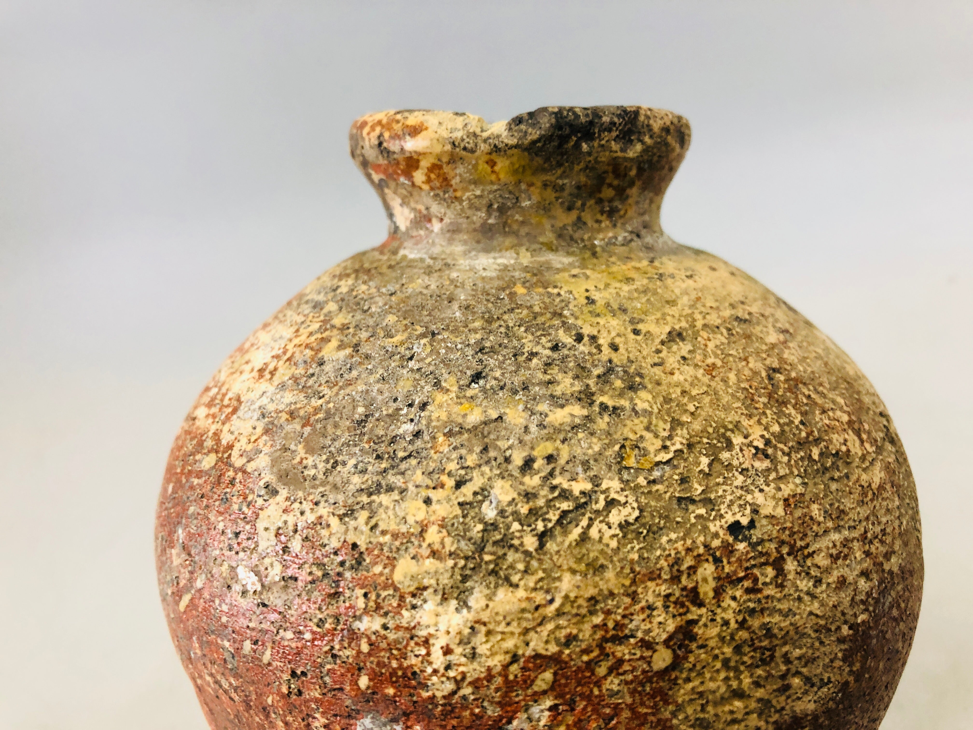 Y6852 [VIDEO] VASE Shigaraki-ware box Japan antique pot ikebana