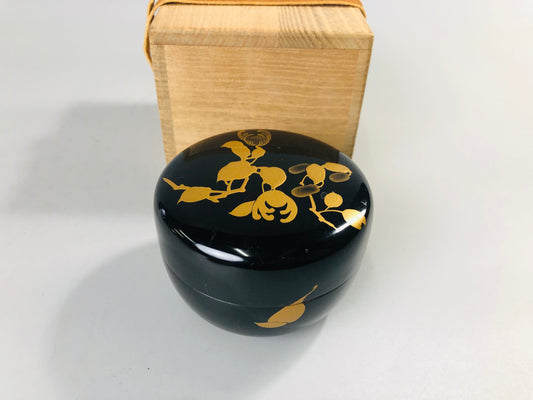 Y7059 NATUME Makie Caddy box fingered citron Japan Tea Ceremony utensils antique