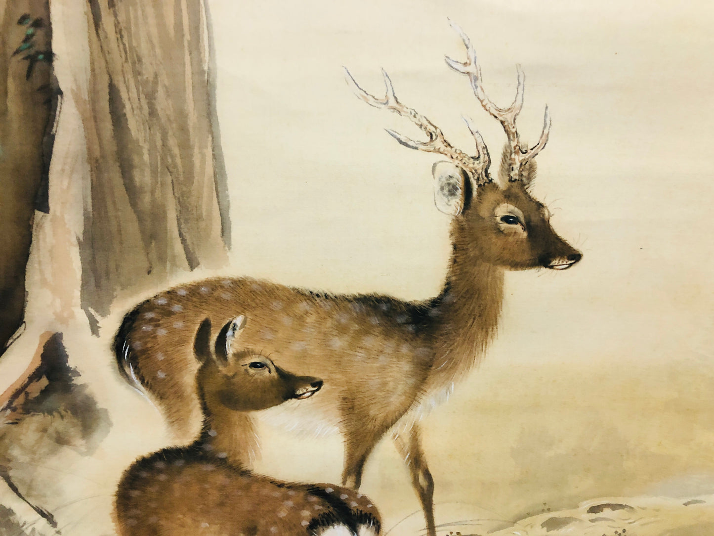 Y7066 KAKEJIKU Deer signed Japan antique hanging scroll art interior wall decor