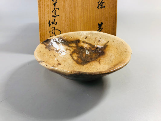 Y7090 CHAWAN Hagi-ware flat bowl signed box Japan antique tea ceremony teacup